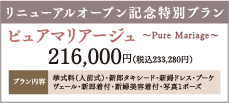 リニューアルオープン特別プラン
